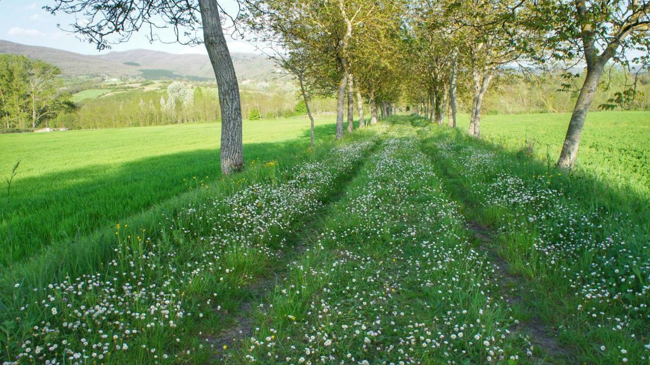 Agriturismo Casa Agricola Rossi Appartamenti In Casentino Сочи Экстерьер фото