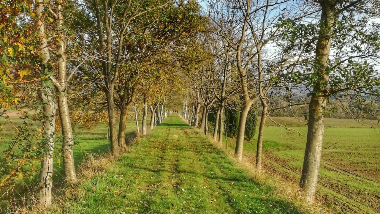 Agriturismo Casa Agricola Rossi Appartamenti In Casentino Сочи Экстерьер фото