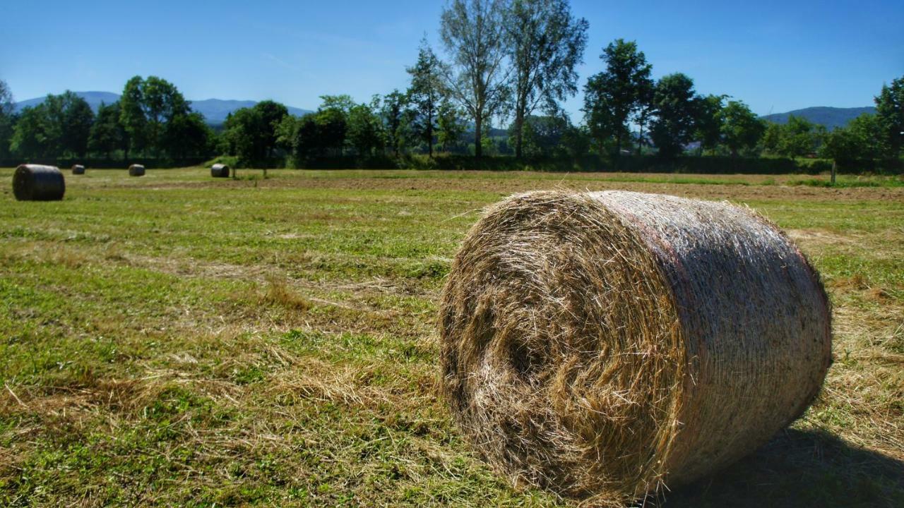 Agriturismo Casa Agricola Rossi Appartamenti In Casentino Сочи Экстерьер фото