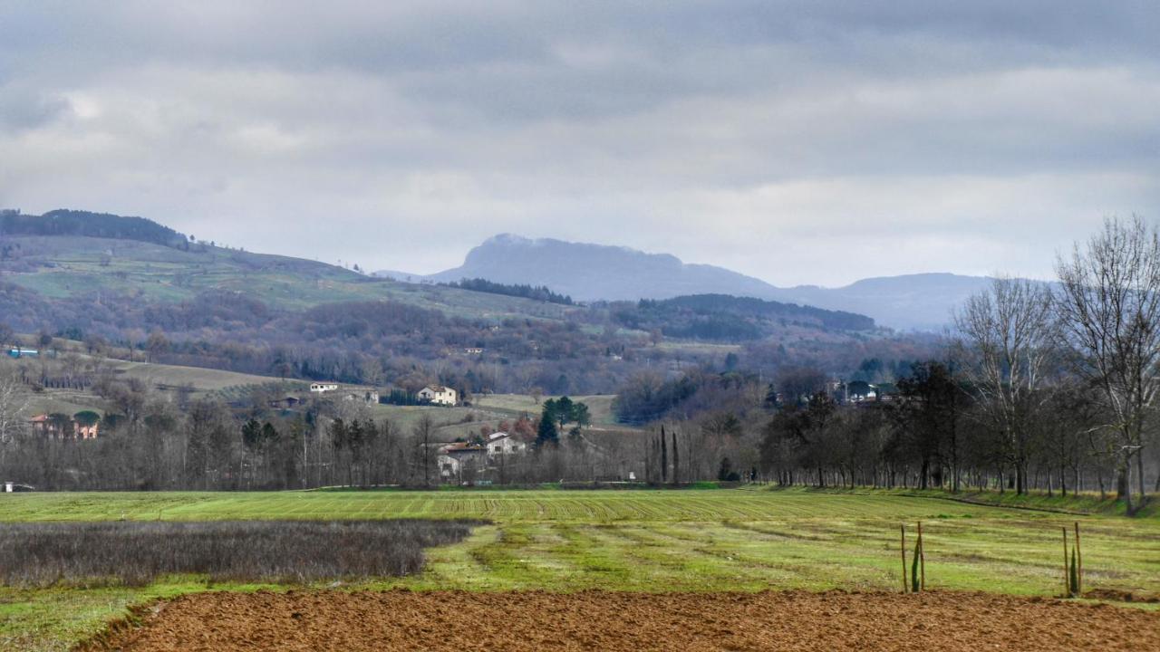 Agriturismo Casa Agricola Rossi Appartamenti In Casentino Сочи Экстерьер фото