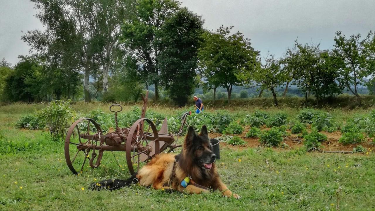 Agriturismo Casa Agricola Rossi Appartamenti In Casentino Сочи Экстерьер фото