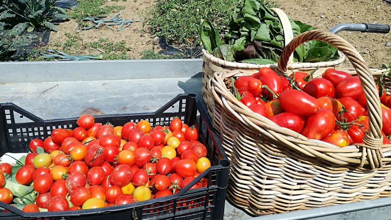 Agriturismo Casa Agricola Rossi Appartamenti In Casentino Сочи Экстерьер фото